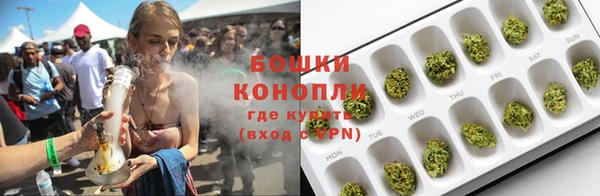 прущая мука Ельня