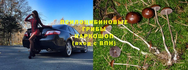 амфетамин Елизово