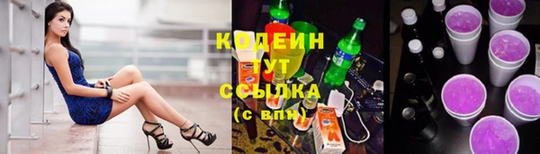 прущая мука Ельня