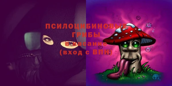 прущая мука Ельня