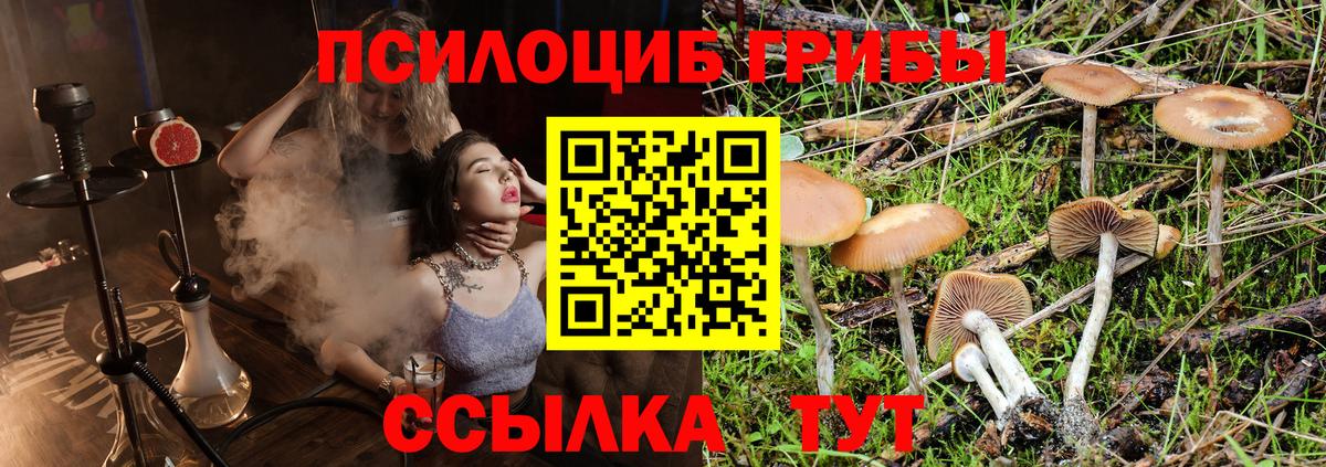 Псилоцибиновые грибы мухоморы Пермь