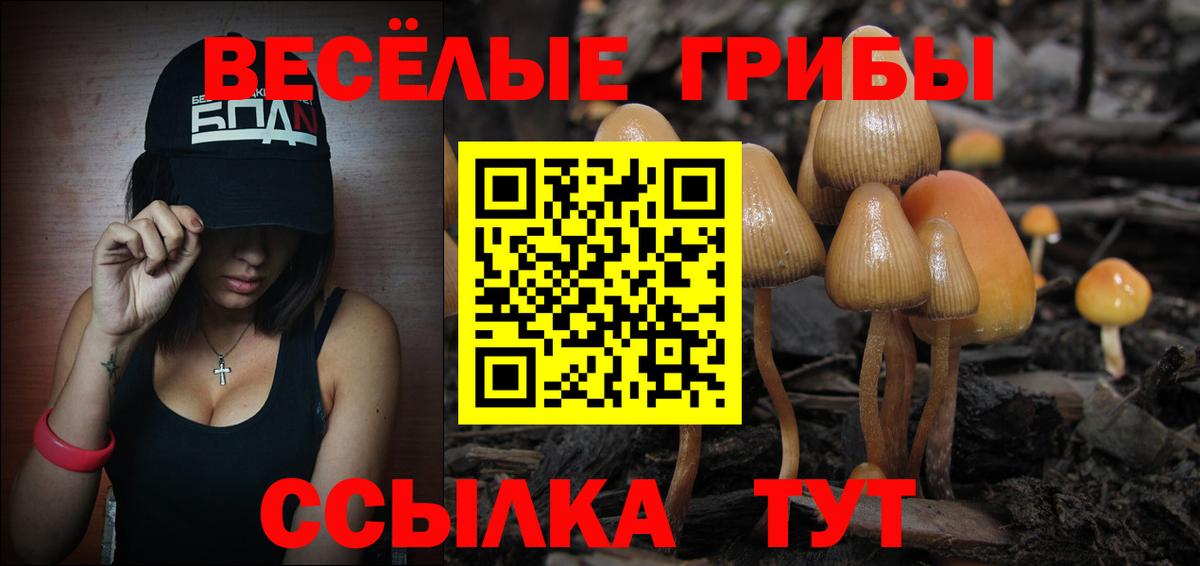 Пермь  Псилоцибиновые грибы прущие грибы  Вход с VPN 